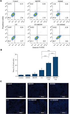 Sonodynamic Effects of a Novel Ether-Group Modified Porphyrin Derivative Combined With Pulsed Low-Intensity Ultrasound on PC-9 Cells